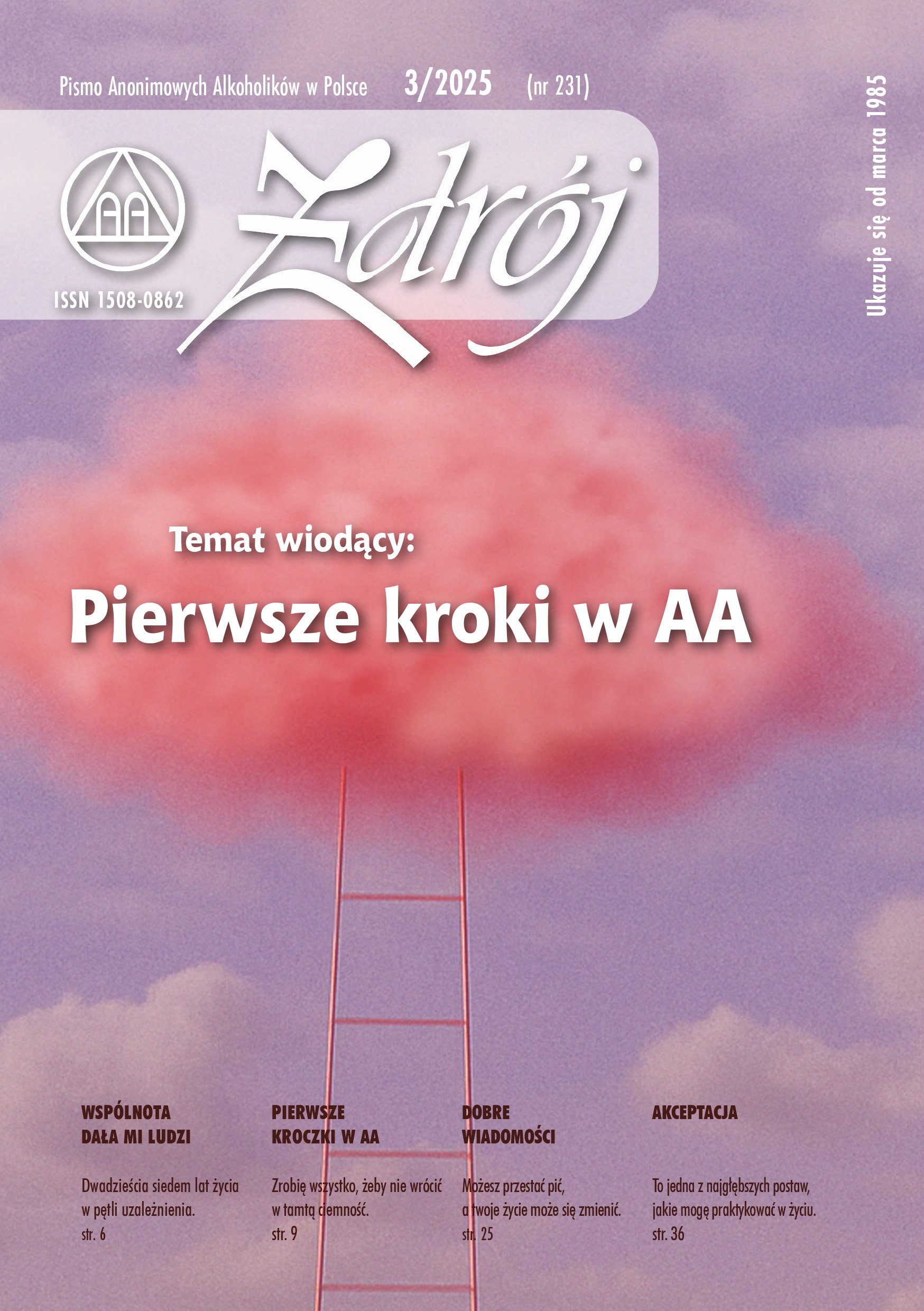 Biuletyn Zdrój - wydanie 231