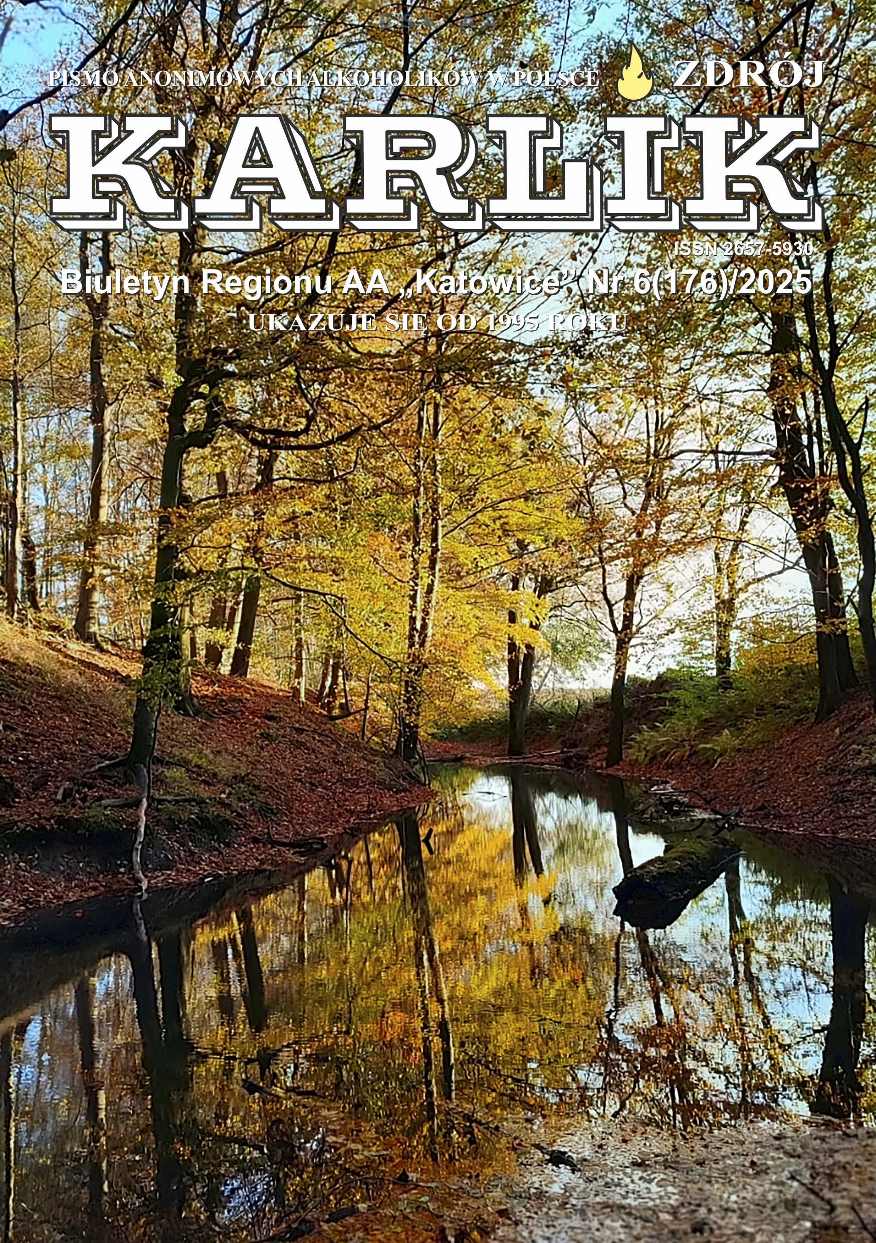 Biuletyn Regionu AA Katowice